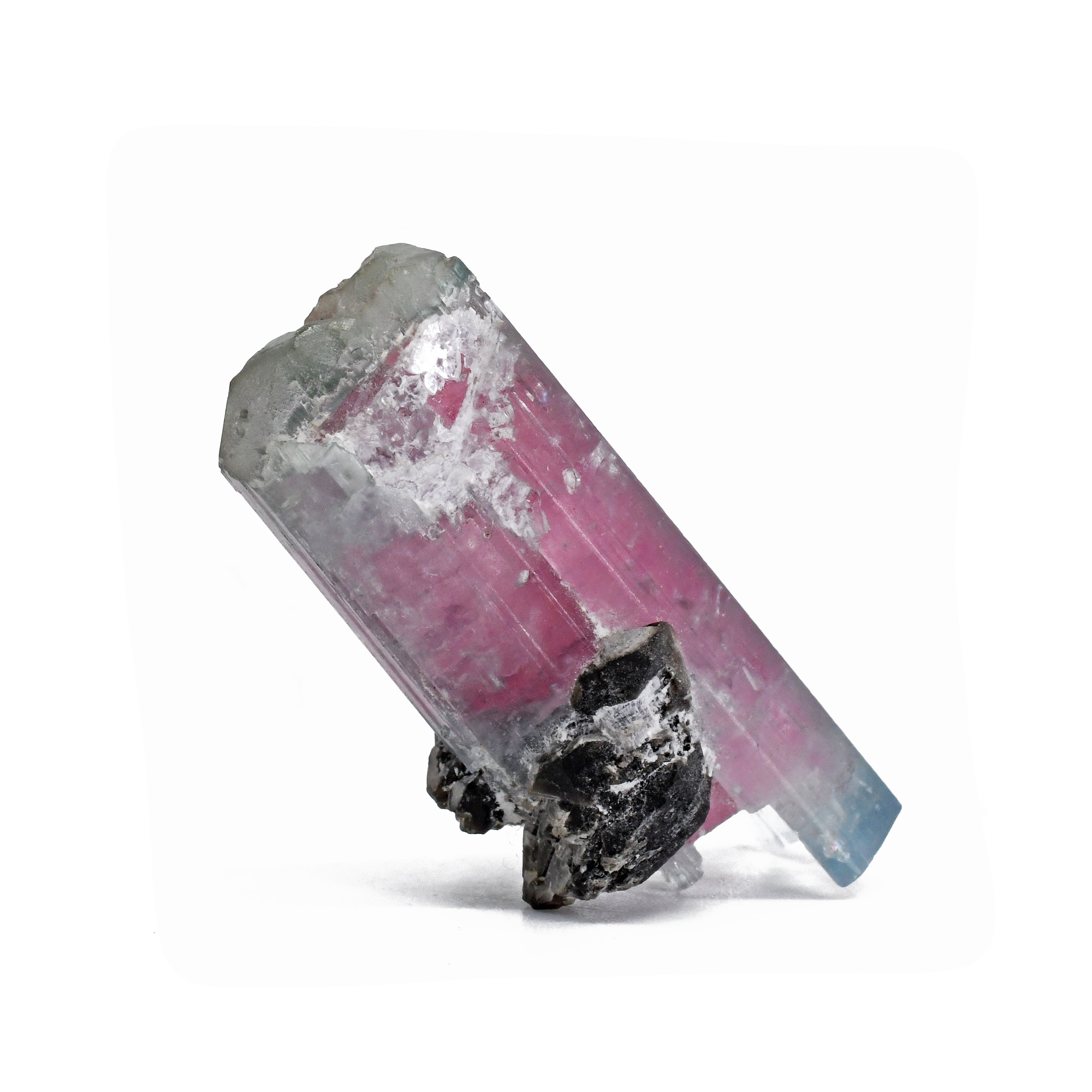 Tourmaline - Pink And Blue Watermelon Tourmaline Natural Double-Terminated Gem Crystal-Pakistan - ZX-406 - Crystalarium