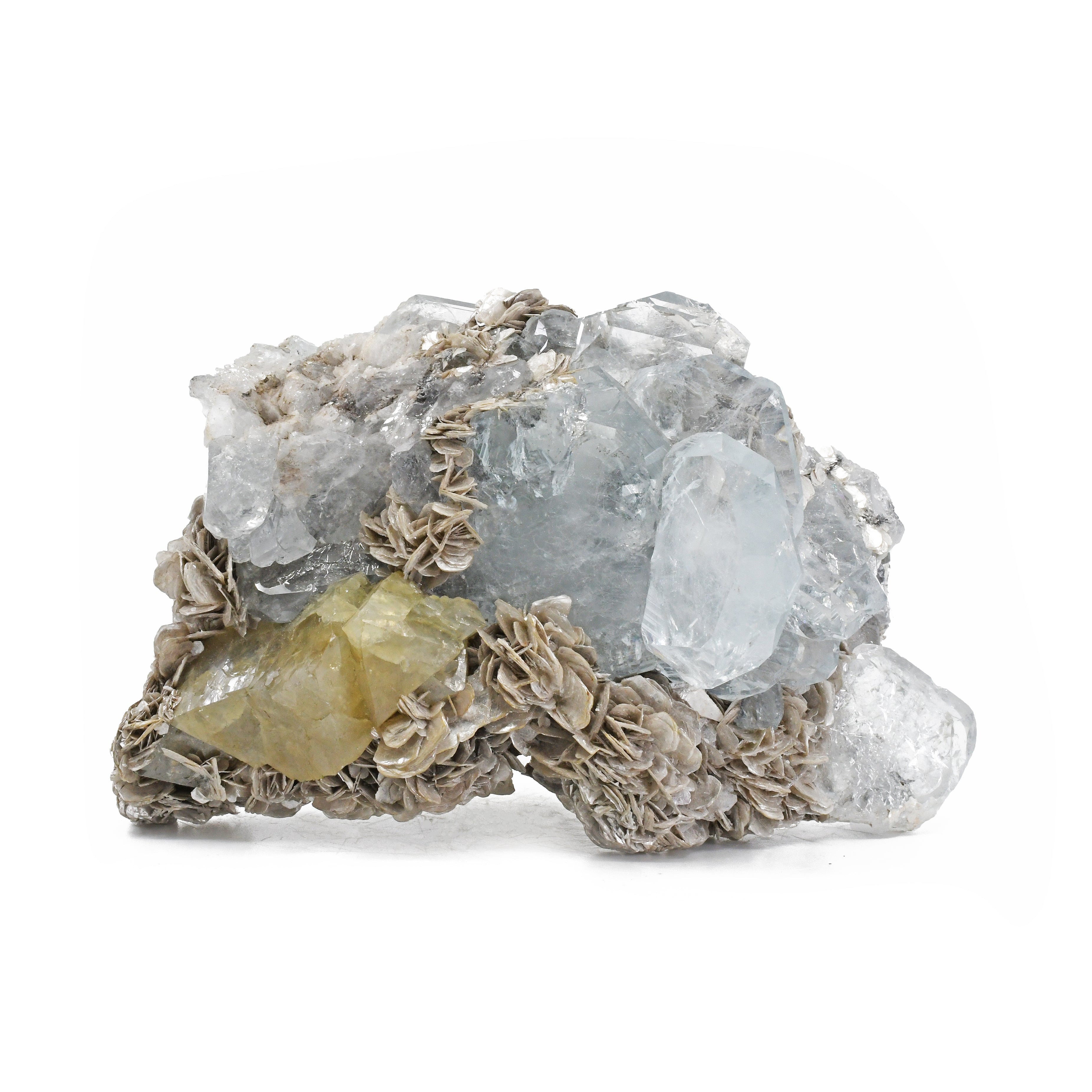Aquamarine Natural Gem Crystals on Muscovite with Scheelite 4.8 inch 562.6 gram Natural Specimen- China - MSCON-057 - Crystalarium