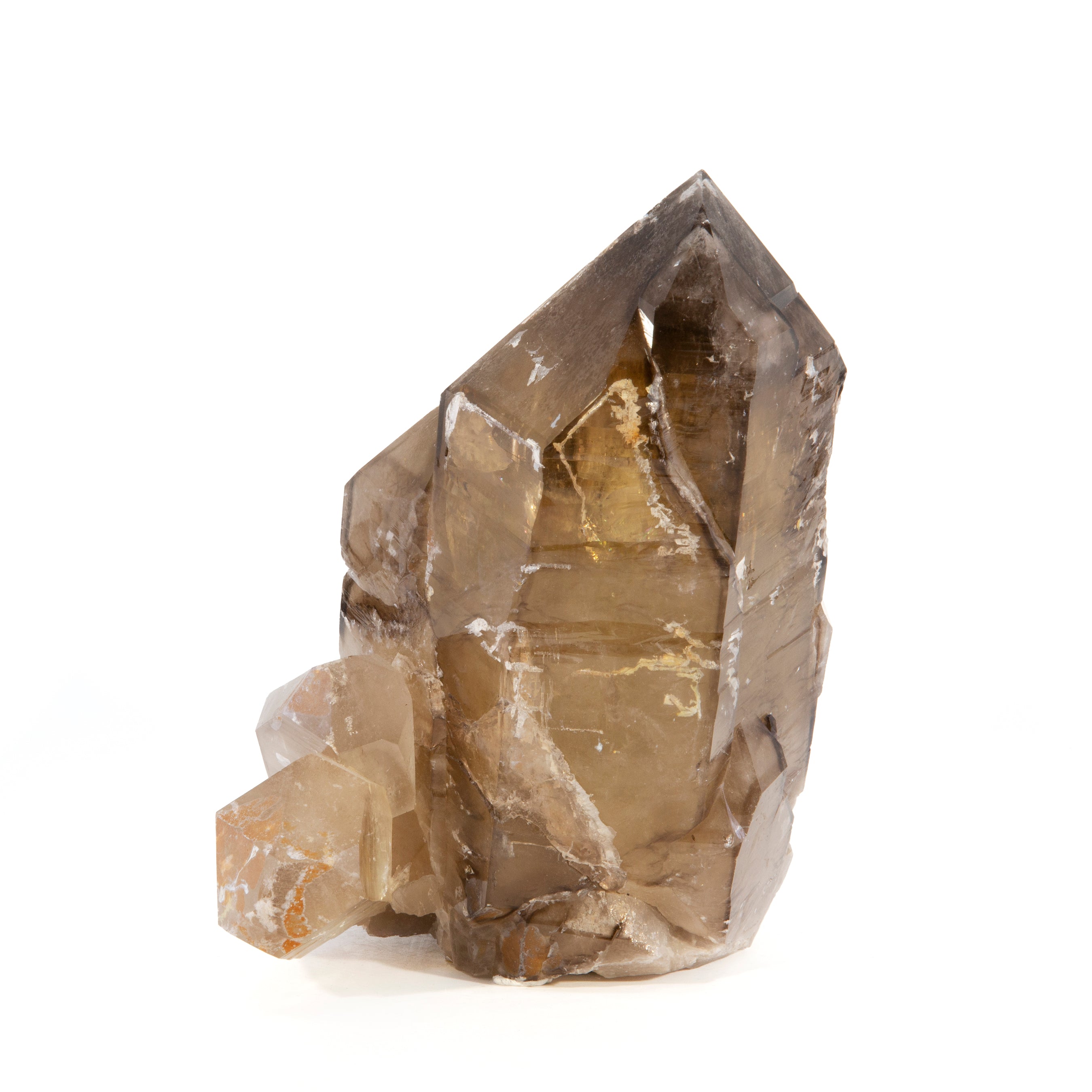 Smoky Quartz 7.75lb 7.5 inch Natural Crystal - Brazil - TX-033 - Crystalarium
