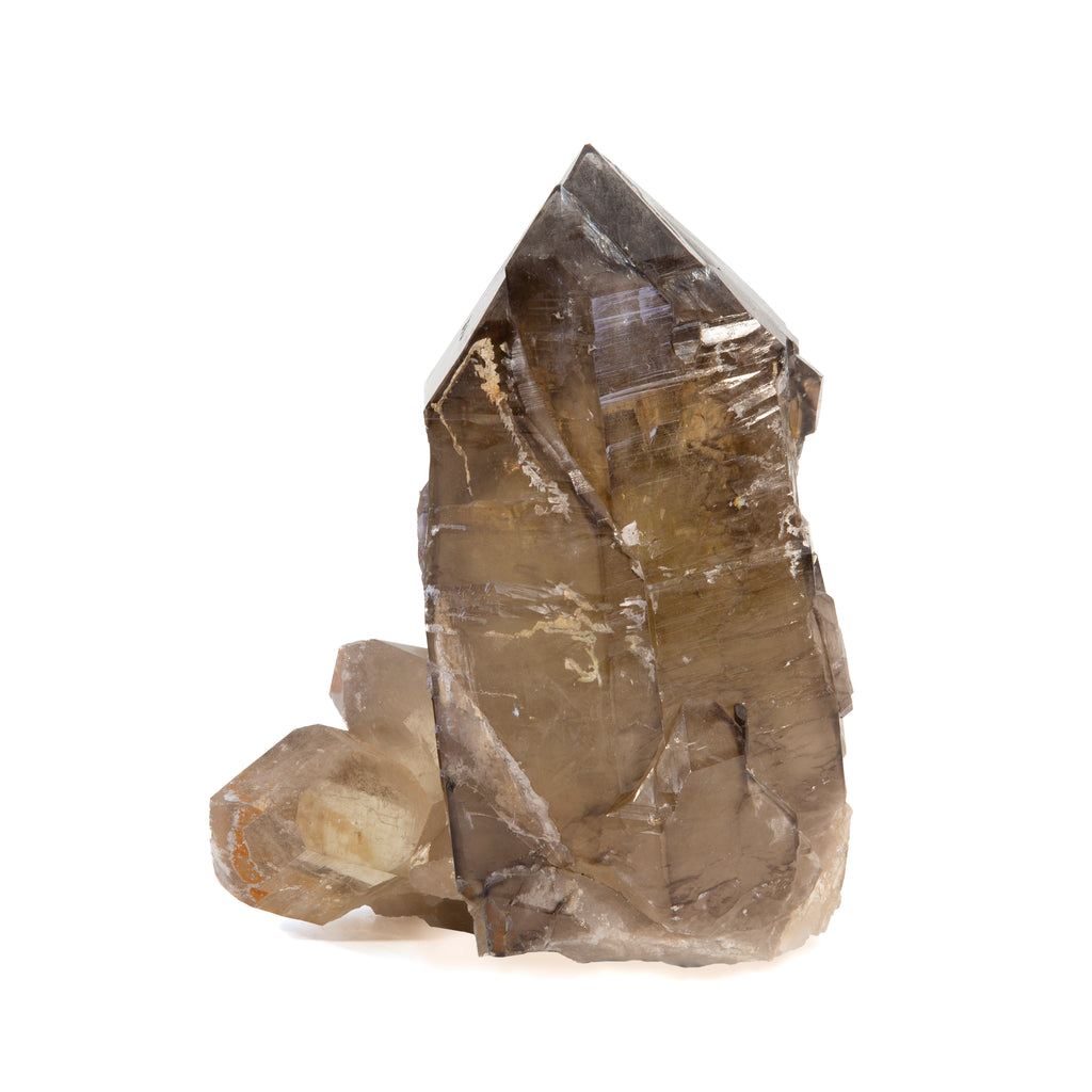 Smoky Quartz 7.75lb 7.5 inch Natural Crystal - Brazil - TX-033 - Crystalarium