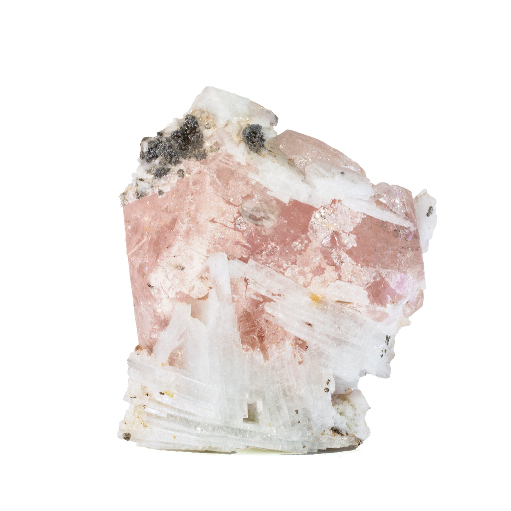 Morganite 3.76 inch 339 gram Natural Gem Crystal Specimen - Brazil - BBX-275 - Crystalarium
