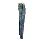 Blue Cat's Eye Tourmaline 5.2 inch 84 gram Natural Crystal Spray - Brazil - KX-028 - Crystalarium