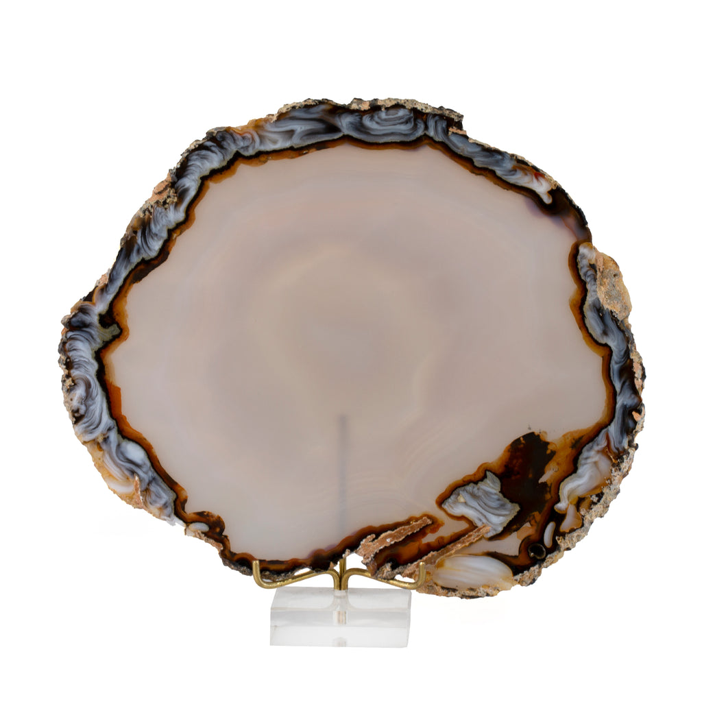 Agate 6 inch Polished Crystal Slice - Brazil - CCH-037 - Crystalarium