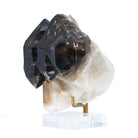 Amethyst Elestial 3.56 inch 1.12lb Natural Crystal Scepter - Brazil - HHX-128B - Crystalarium