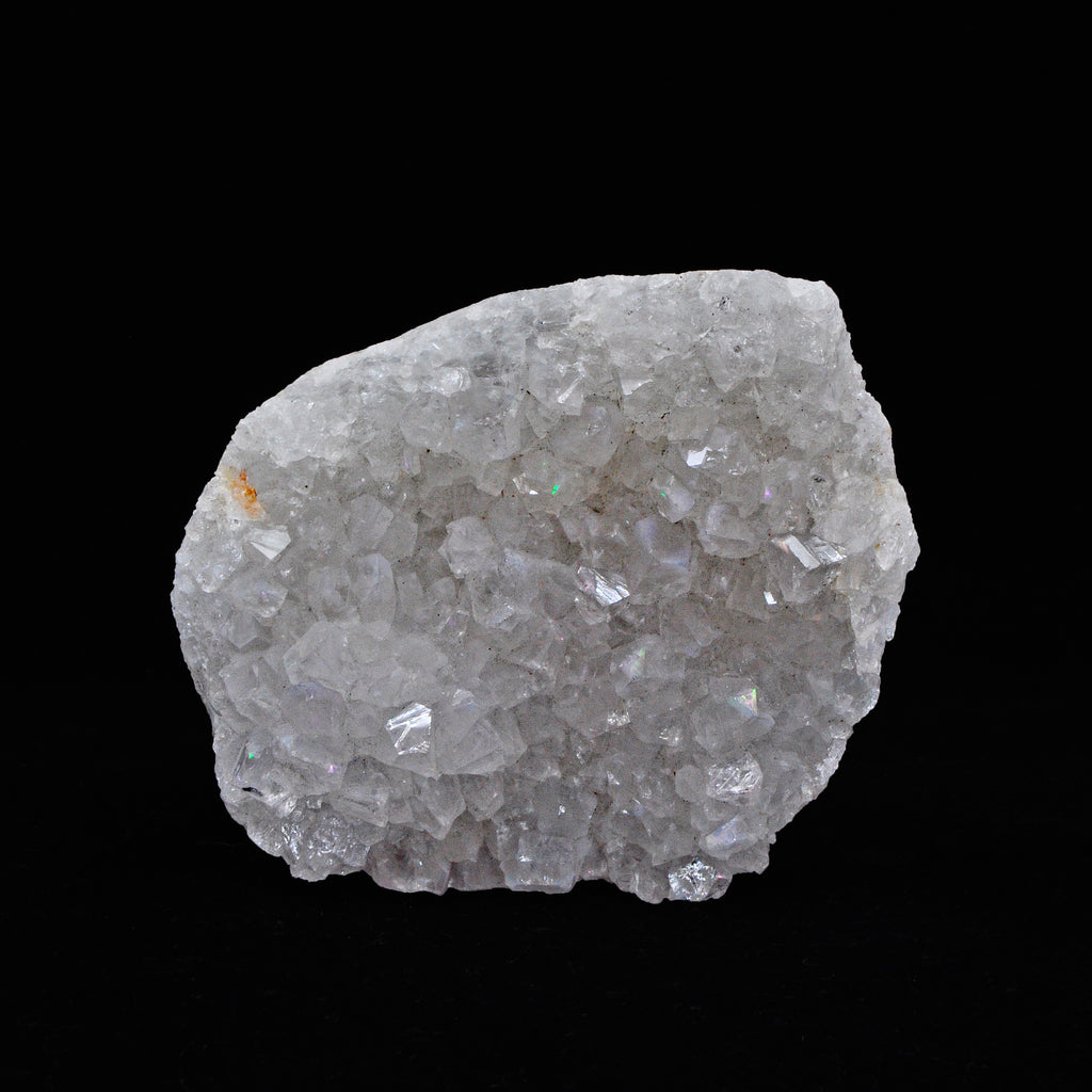 Quartz - Natural Rainbow Quartz Crystal Specimen - India - YX-258 - Crystalarium