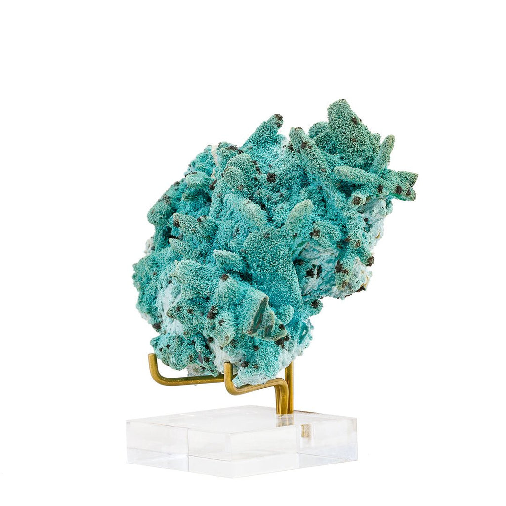 Chrysocolla Pseudomorph after Azurite 4.65 Inch 90 Gram Specimen - Luputo, Dem. Rep. of Congo - DDX-293 - Crystalarium