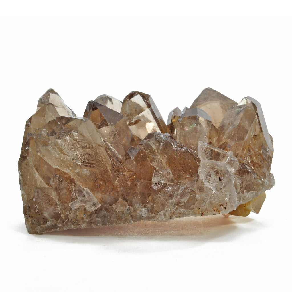 Rutilated Smoky Quartz 4.33 inch 1.04 lbs Natural Crystal Cluster - Brazil - FFX-087 - Crystalarium
