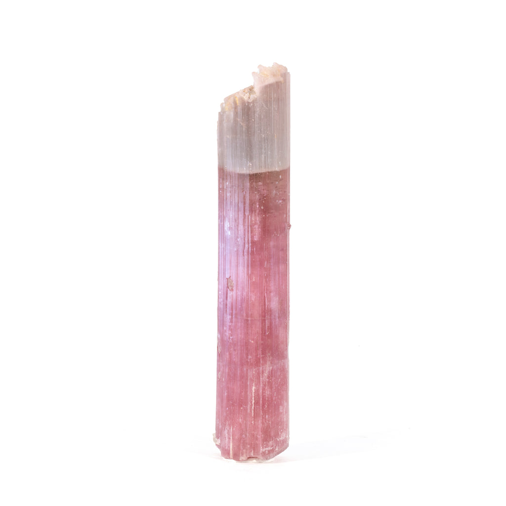 Cat's Eye Pink Tourmaline 69.4 grams 3.8 inch Natural Crystal - Himalaya Mine, San Diego, California, USA - JJX-003 - Crystalarium