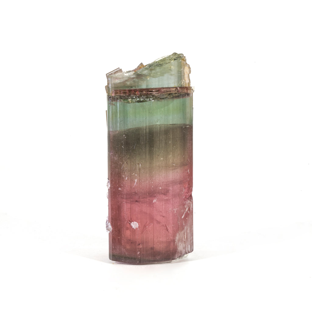Cat's Eye Bi-Color Tourmaline with Lepidolite 38.4 gram 22.8mm Natural Gem Crystal - Himalaya Mine, San Diego, California, USA - JJX-004 - Crystalarium