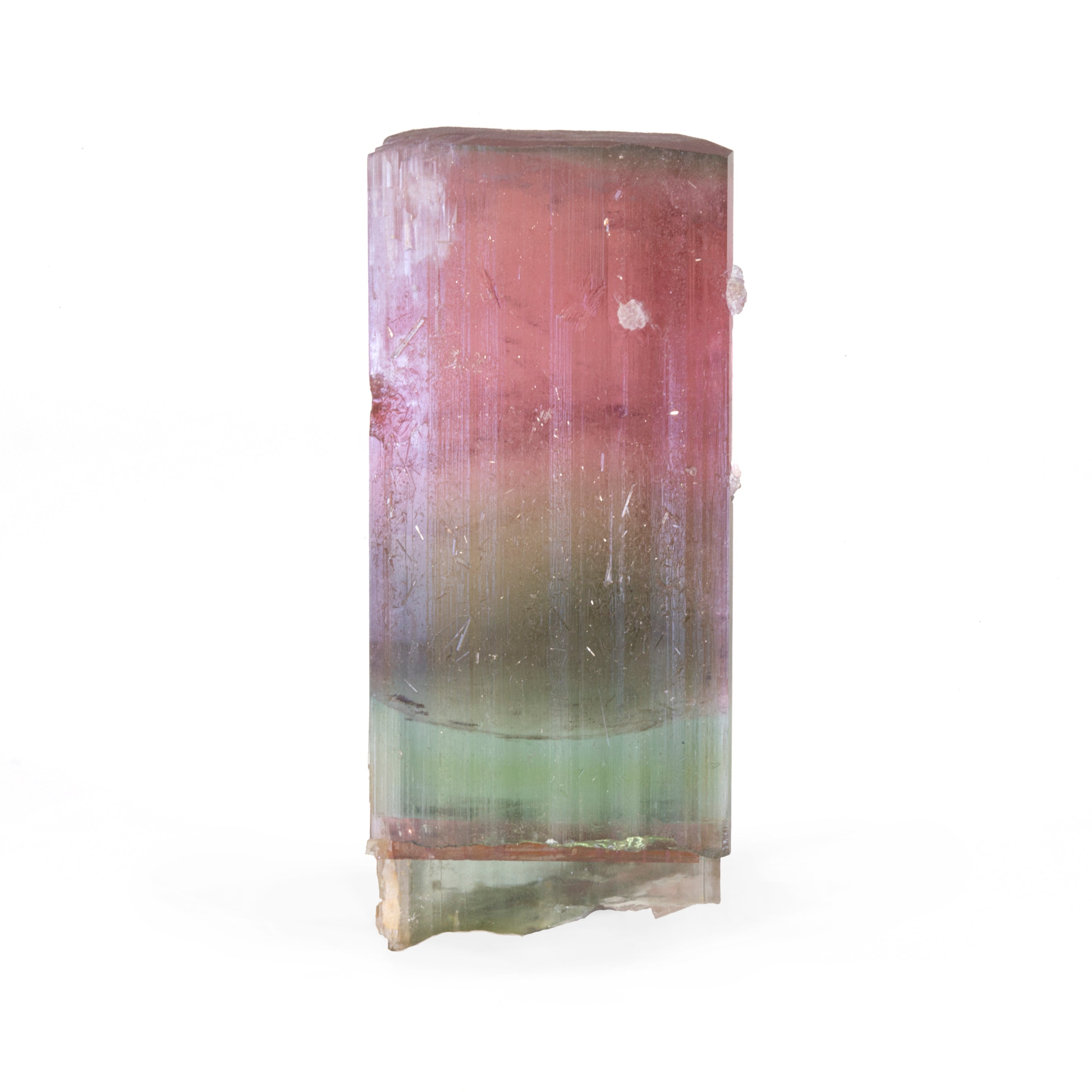 Cat's Eye Bi-Color Tourmaline with Lepidolite 38.4 gram 22.8mm Natural Gem Crystal - Himalaya Mine, San Diego, California, USA - JJX-004 - Crystalarium