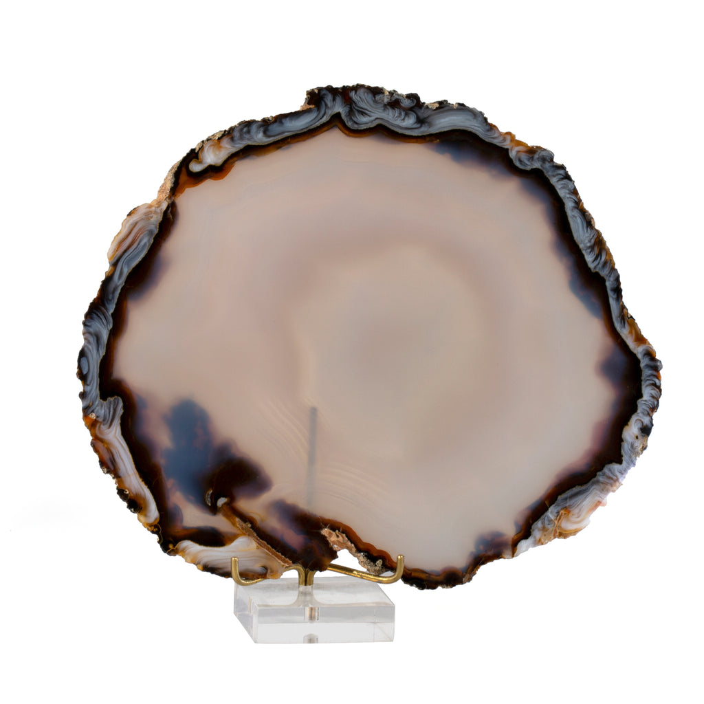 Agate 6 inch Polished Crystal Slice - Brazil - CCH-037 - Crystalarium