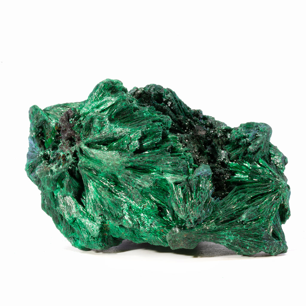 Fibrous Malachite .69lb Natural Crystal Specimen - Congo - HHX-049 - Crystalarium