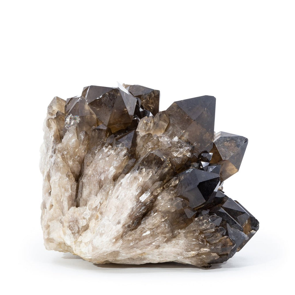 Smoky Citrine 5.23 Inch 3.5lb Natural Crystal Cluster - Congo - GGX-047 - Crystalarium