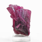 Rubelite Tourmaline 170.5ct 51mm Natural Gem Crystal Cluster - Brazil - FFX-159 - Crystalarium