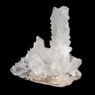 Fishtail Selenite 10 lb 11.5 inch Natural Crystal Specimen - Mexico - JJX-277 - Crystalarium