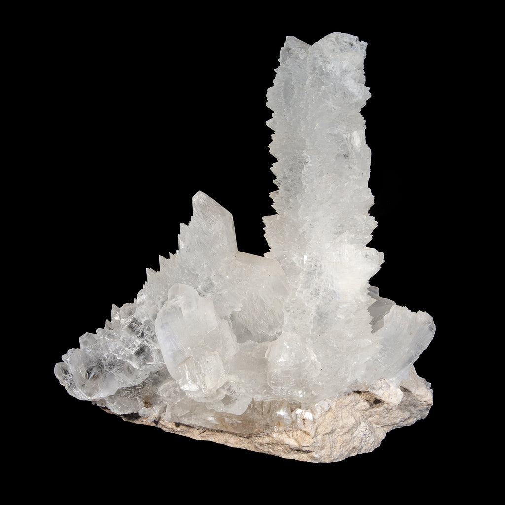 Fishtail Selenite 10 lb 11.5 inch Natural Crystal Specimen - Mexico - JJX-277 - Crystalarium