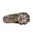 Lytoceros 2.9 lb 5.5 inch Ammonite Polished Fossil Specimen - Madagascar - HHH-067 - Crystalarium