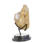 Golden Rutilated Quartz 6 Inch 12.27 Ounce Natural Crystal on Stand - Brazil - KKX-004 - Crystalarium