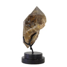 Rutilated Smoky Quartz 7.25 Inch 1.58lb Natural Crystal on Stand - Brazil - KKX-003 - Crystalarium