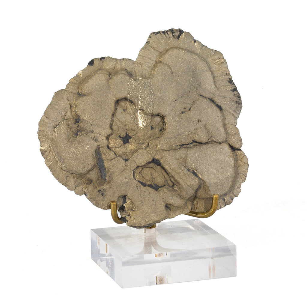 Pyrite "Sun" Natural Crystal Specimen - Illinois, USA - JJX-441 - Crystalarium