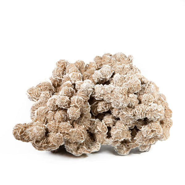 Desert Rose