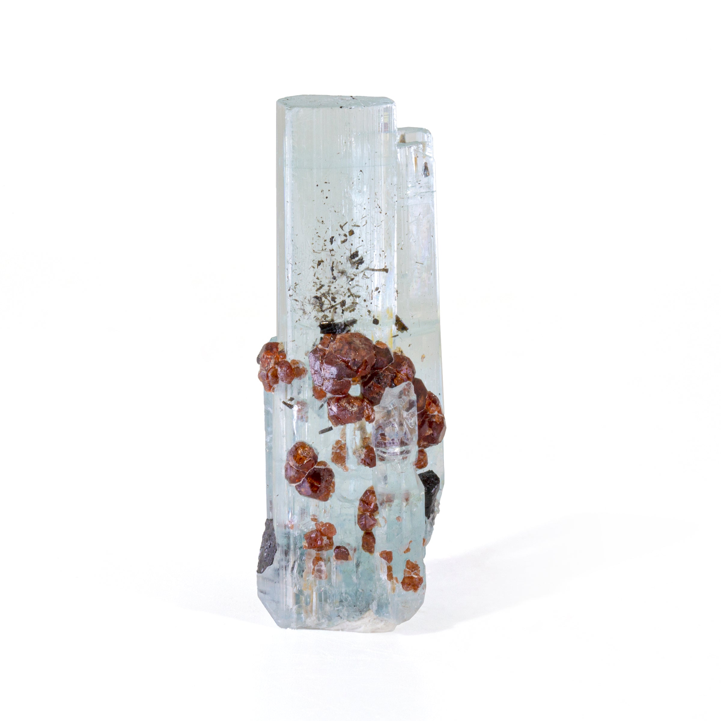 Aquamarine with Spessartine Garnet 58.64mm 123 carat Natural Crystal - Pakistan - HHX-218 - Crystalarium