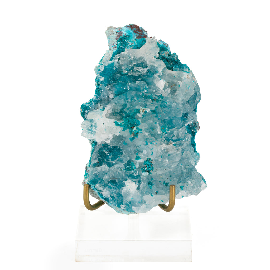 Dioptase in Quartz 4 inch Natural Crystal Specimen - Milpillas, Mexico - HHX-223 - Crystalarium