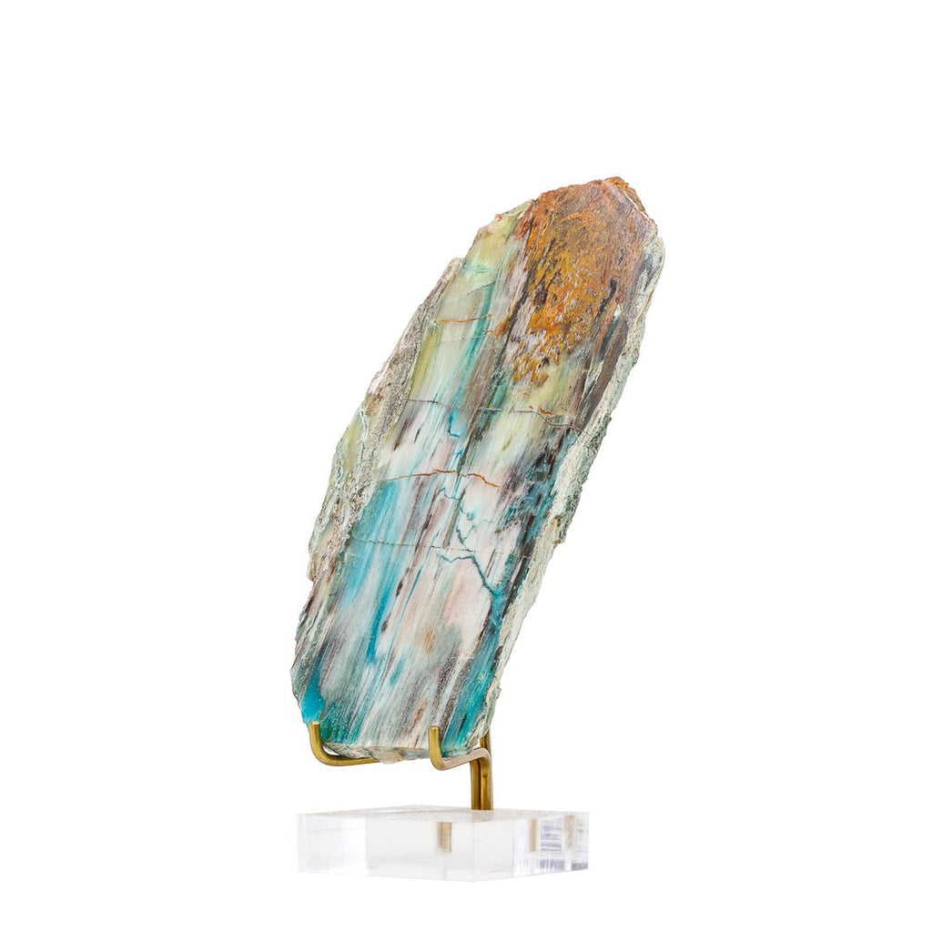 Rare New Find! Petrified Wood with Azurite, Chrysocolla, and Gem Silica 5.34 Inch .31lb Polished Slice - Turkey - KKH-385 - Crystalarium