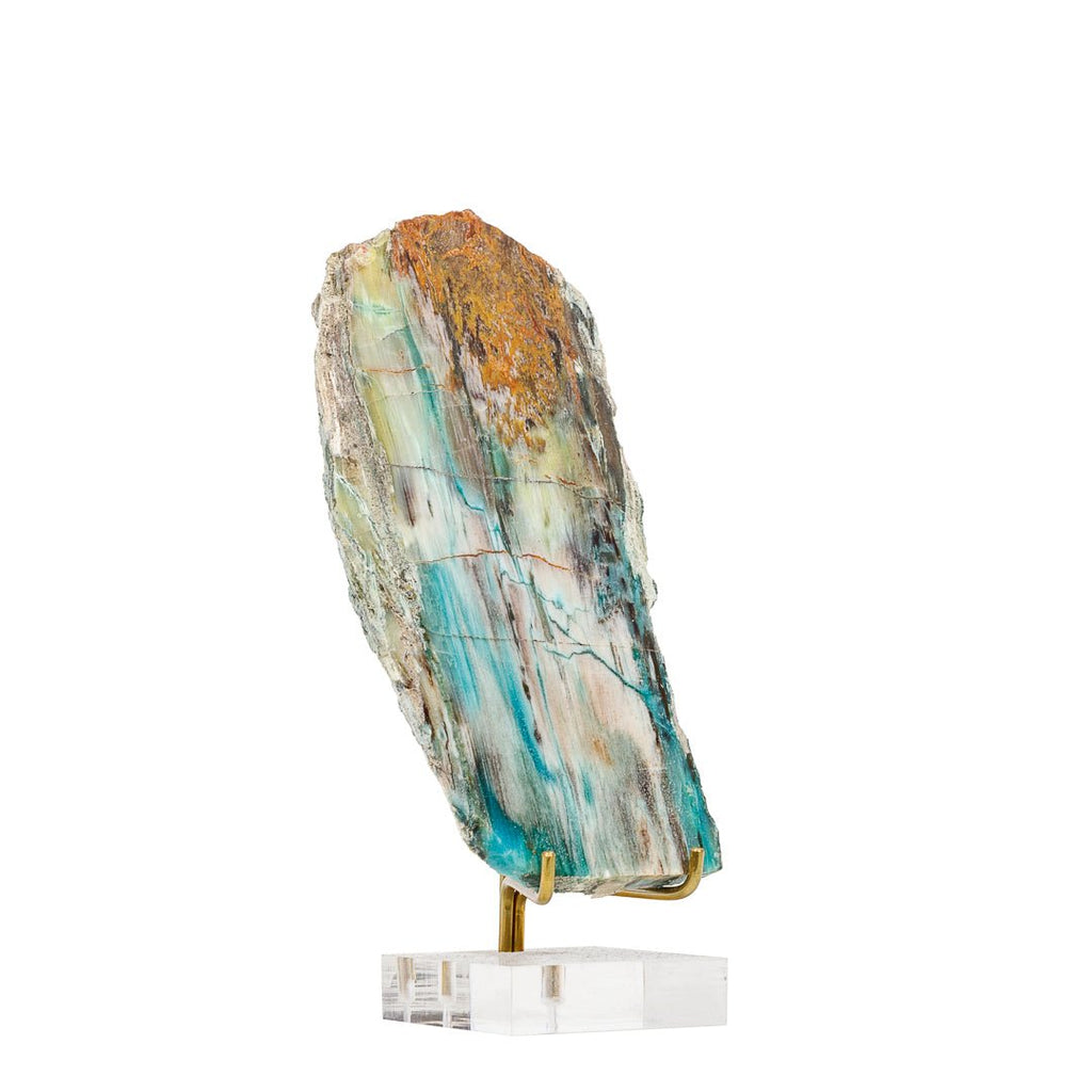 Rare New Find! Petrified Wood with Azurite, Chrysocolla, and Gem Silica 5.34 Inch .31lb Polished Slice - Turkey - KKH-385 - Crystalarium