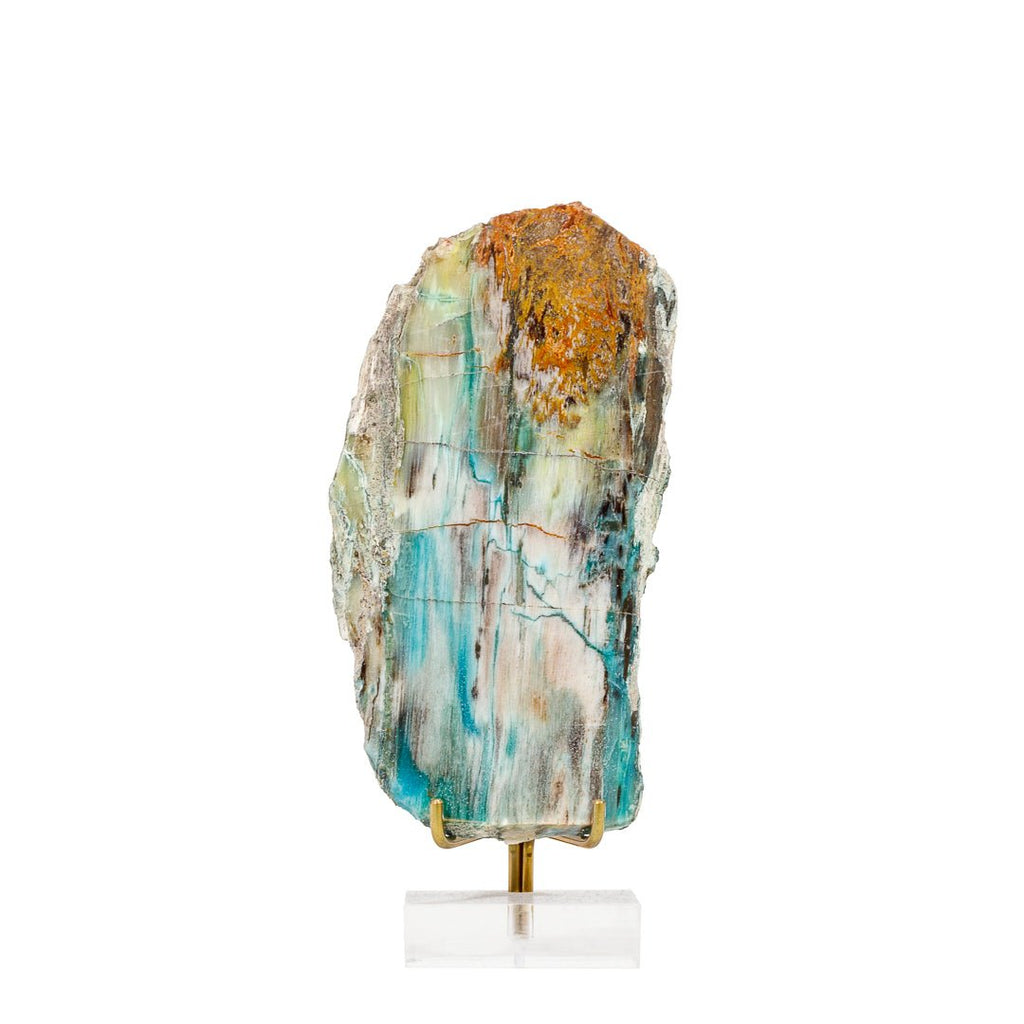 Rare New Find! Petrified Wood with Azurite, Chrysocolla, and Gem Silica 5.34 Inch .31lb Polished Slice - Turkey - KKH-385 - Crystalarium