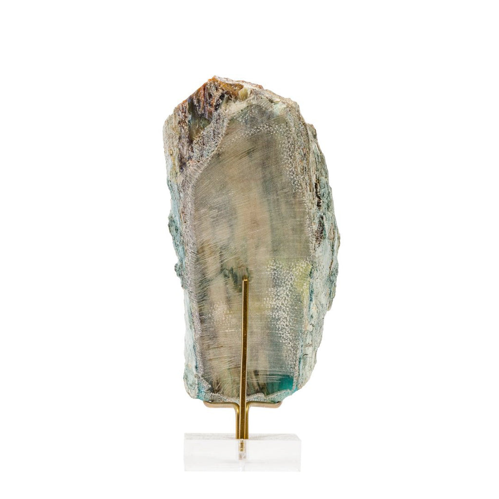 Rare New Find! Petrified Wood with Azurite, Chrysocolla, and Gem Silica 5.34 Inch .31lb Polished Slice - Turkey - KKH-385 - Crystalarium
