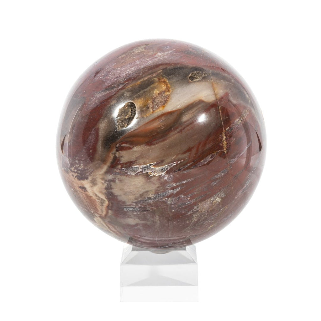 Petrified Wood 3.98 Inch 3.13lb Polished Crystal Sphere - LLL-022 - Crystalarium
