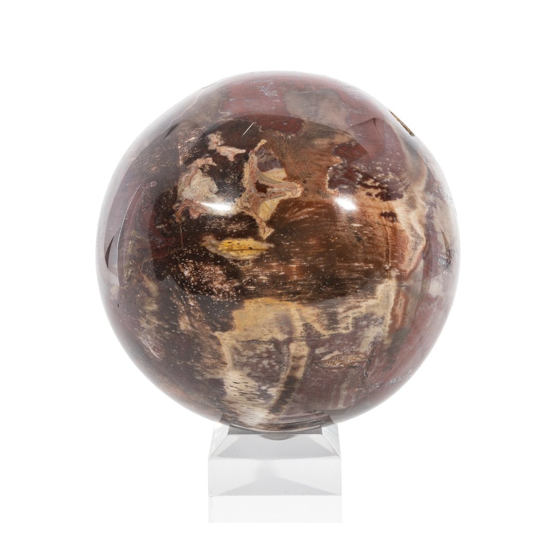 Petrified Wood 3.98 Inch 3.13lb Polished Crystal Sphere - LLL-022 - Crystalarium