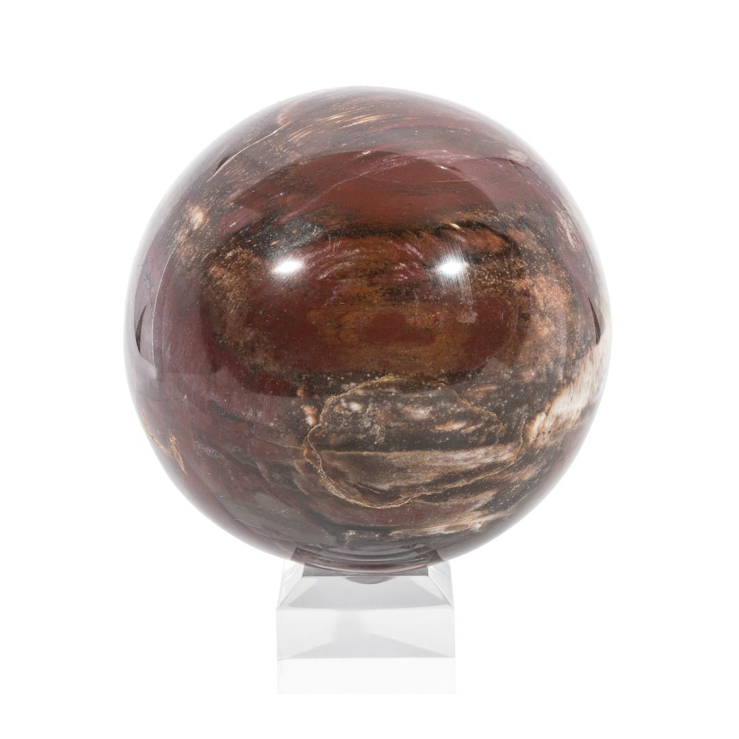 Petrified Wood 3.98 Inch 3.13lb Polished Crystal Sphere - LLL-022 - Crystalarium