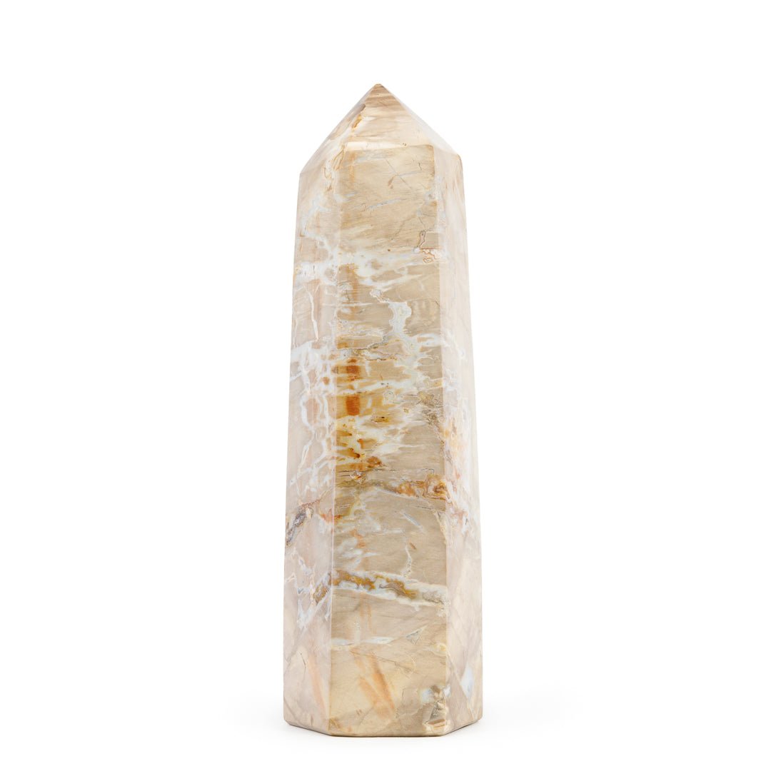 Petrified Wood 8.75 Inch 3.28lb Polished Crystal Tower - Madagascar - KKH-172 - Crystalarium