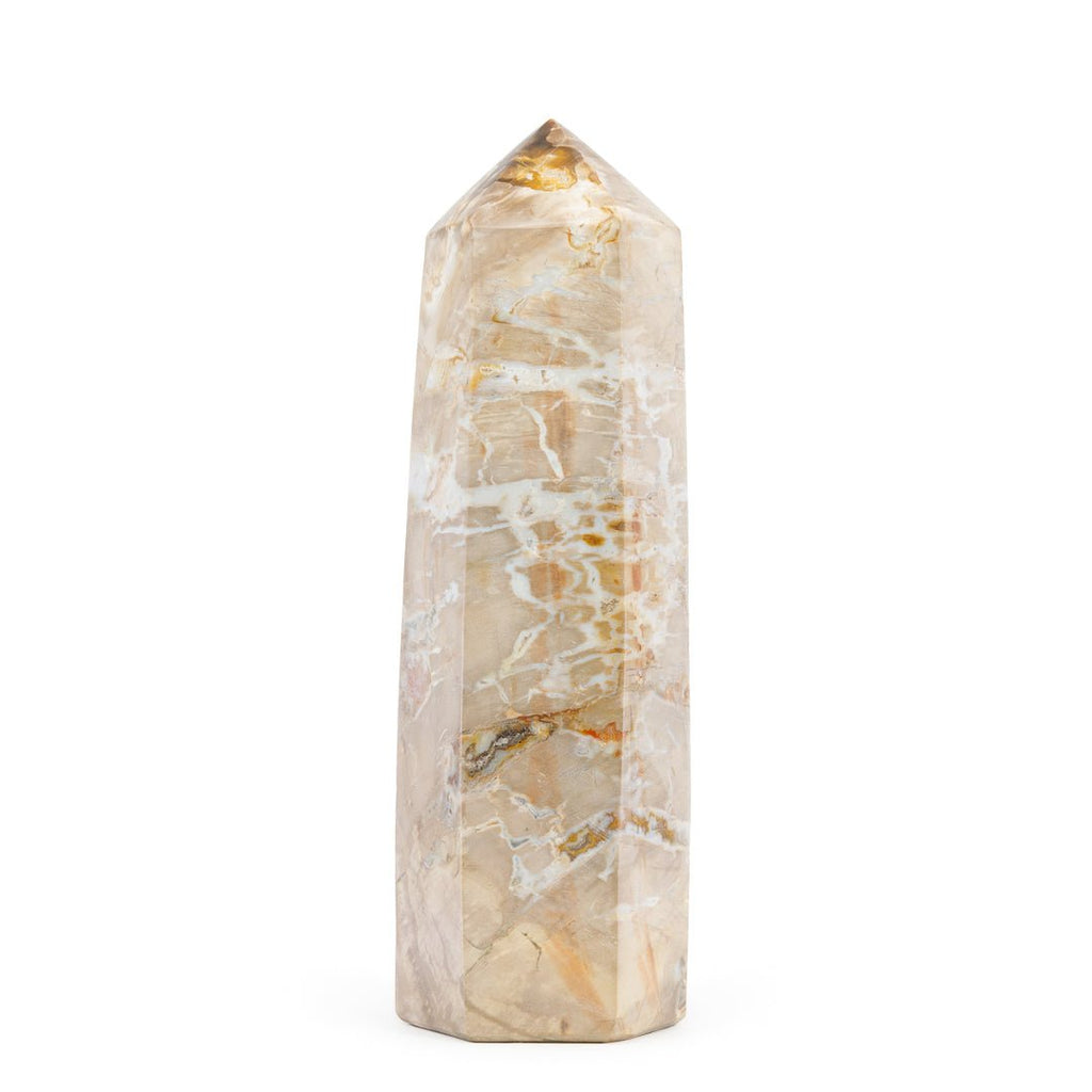 Petrified Wood 8.75 Inch 3.28lb Polished Crystal Tower - Madagascar - KKH-172 - Crystalarium