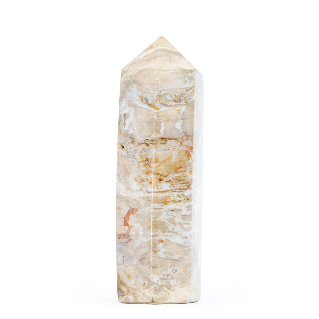 Petrified Wood 8.5 Inch 3.96lb Polished Crystal Tower - Madagascar - KKH-173 - Crystalarium