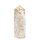 Petrified Wood 8.5 Inch 3.96lb Polished Crystal Tower - Madagascar - KKH-173 - Crystalarium