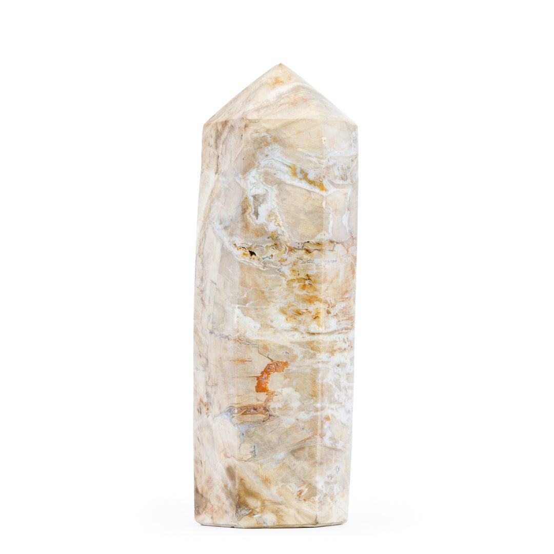 Petrified Wood 8.5 Inch 3.96lb Polished Crystal Tower - Madagascar - KKH-173 - Crystalarium