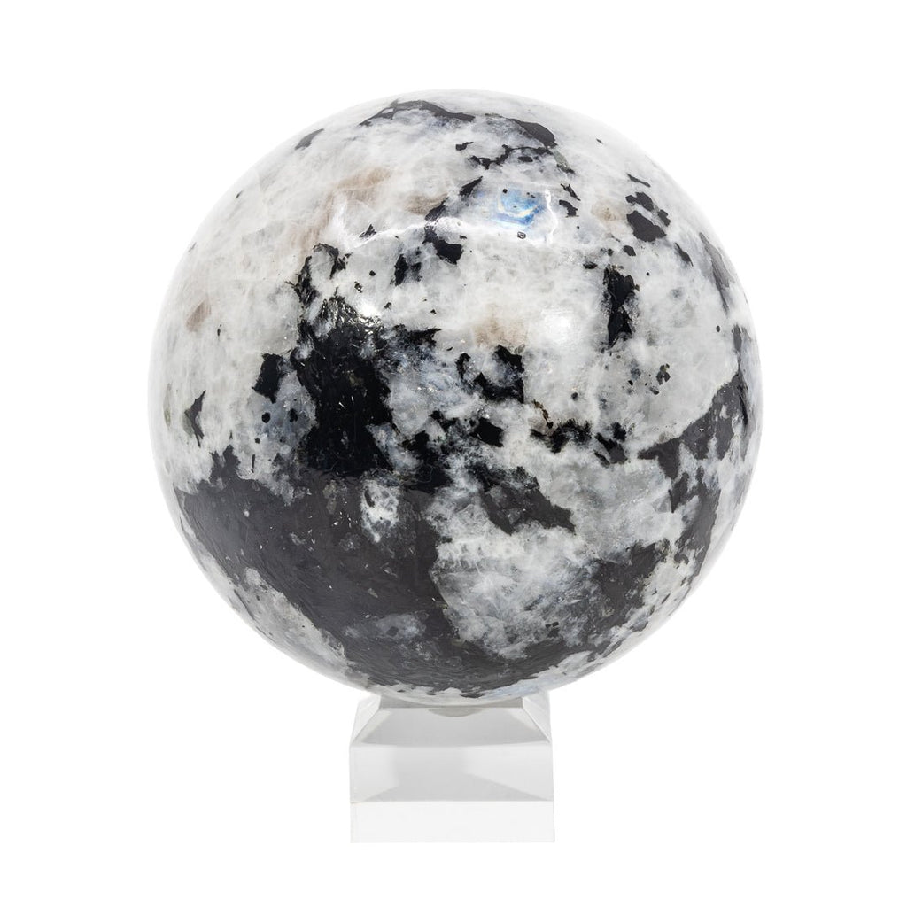Rainbow Moonstone & Black Tourmaline 4.38 Inch 4.27lb Polished Crystal Sphere - India - LLL-002 - Crystalarium