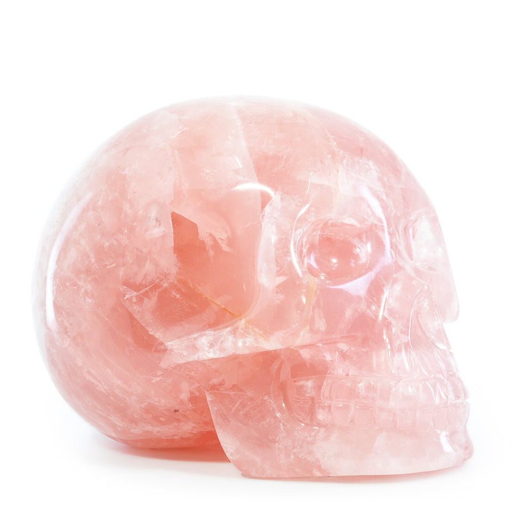 Rose Quartz 4.3 Inch 5.5lb Hand Carved Crystal Skull - Brazil - KKH-005 - Crystalarium