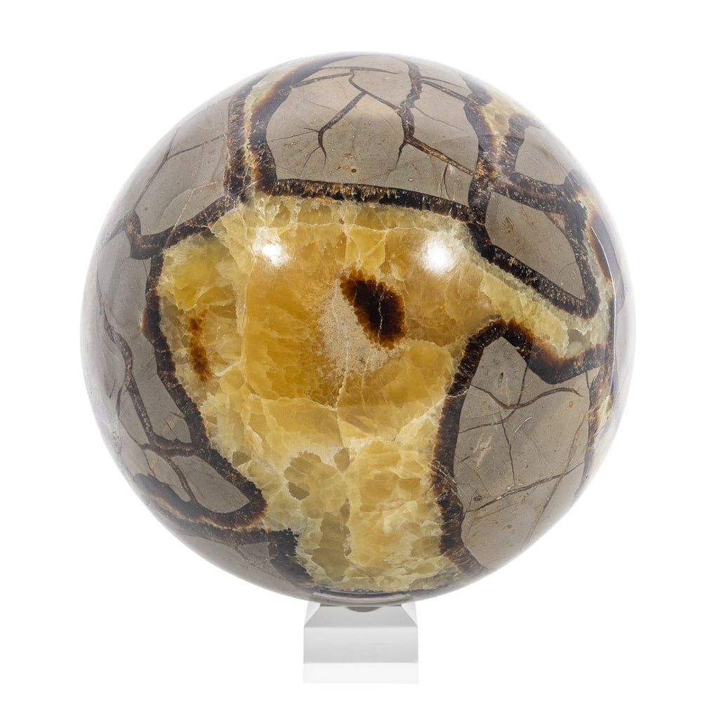 Septarian 7 Inch 17.1lb Polished Crystal Sphere - Madagascar - LLL-013 - Crystalarium