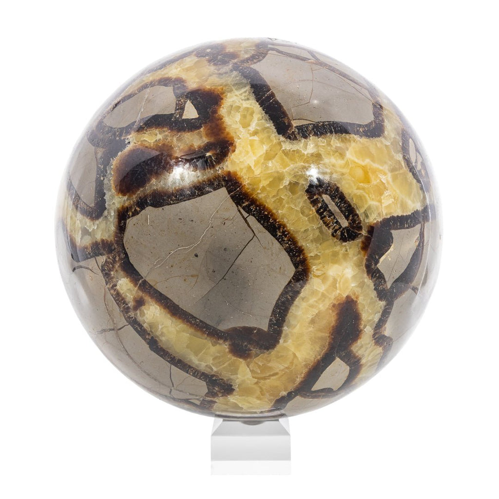 Septarian 7 Inch 17.1lb Polished Crystal Sphere - Madagascar - LLL-013 - Crystalarium
