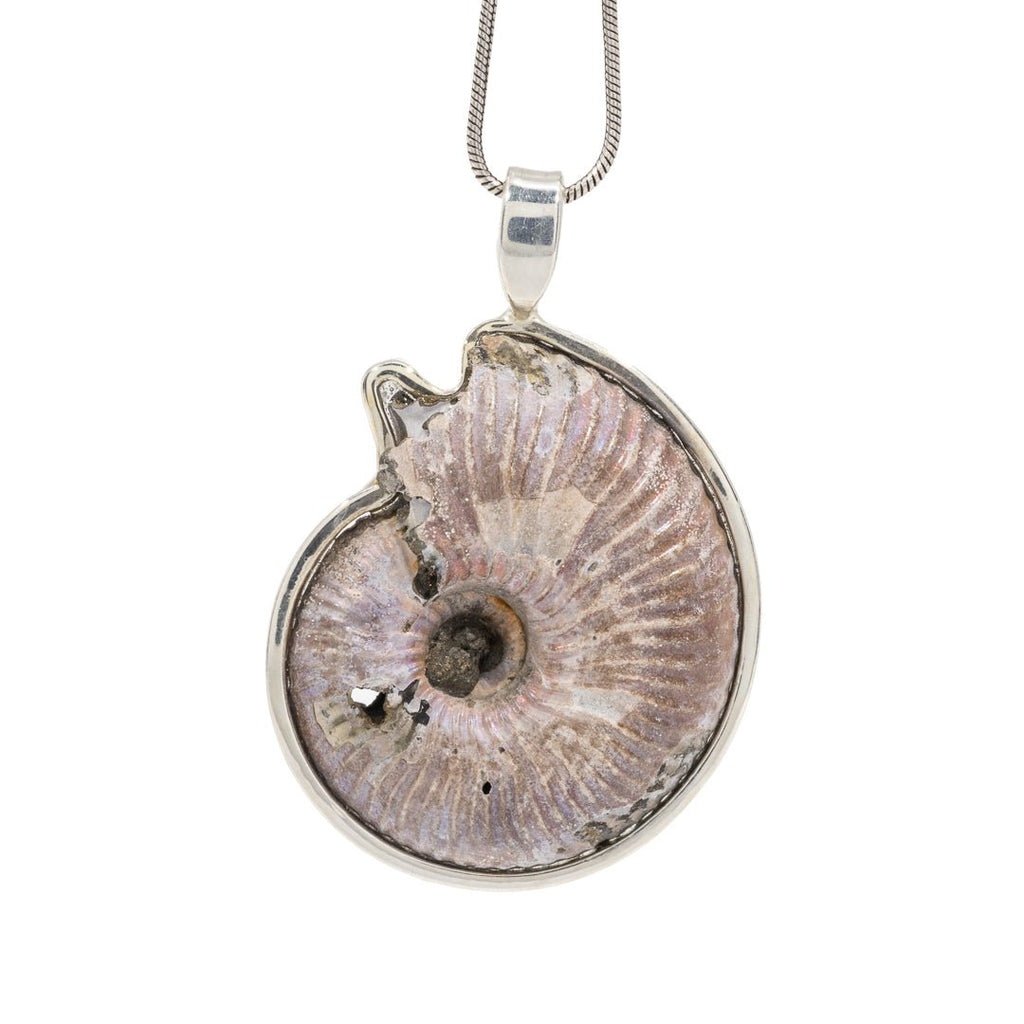 Pyritized Scaphite Ammonite 23.15 Carat Handcrafted Sterling Silver Pendant - KKO-238 - Crystalarium