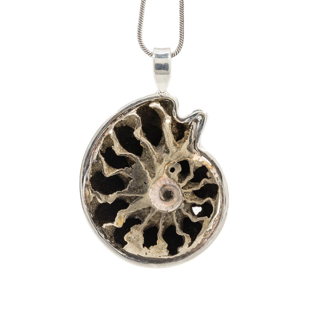 Pyritized Scaphite Ammonite 23.15 Carat Handcrafted Sterling Silver Pendant - KKO-238 - Crystalarium