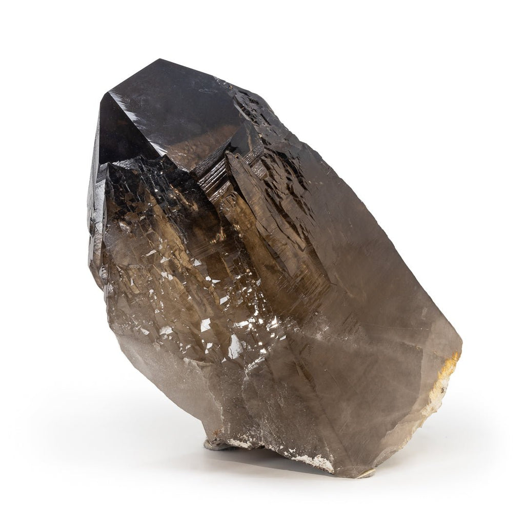 Smoky Quartz 12 in 39.5lb Natural Crystal Specimen - Brazil - DDX-342 - Crystalarium