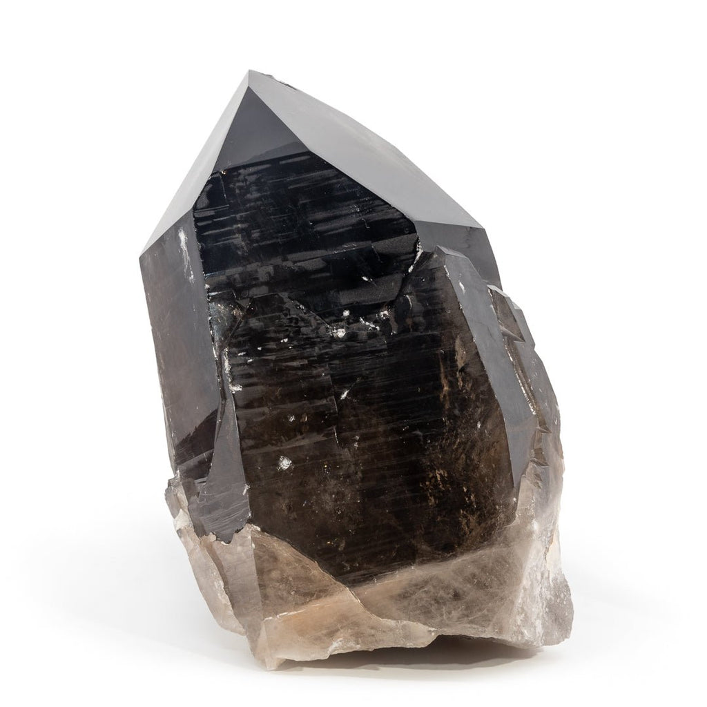 Smoky Quartz 12.25 in 39.35lb Natural Crystal Specimen - Brazil - FFX-054 - Crystalarium
