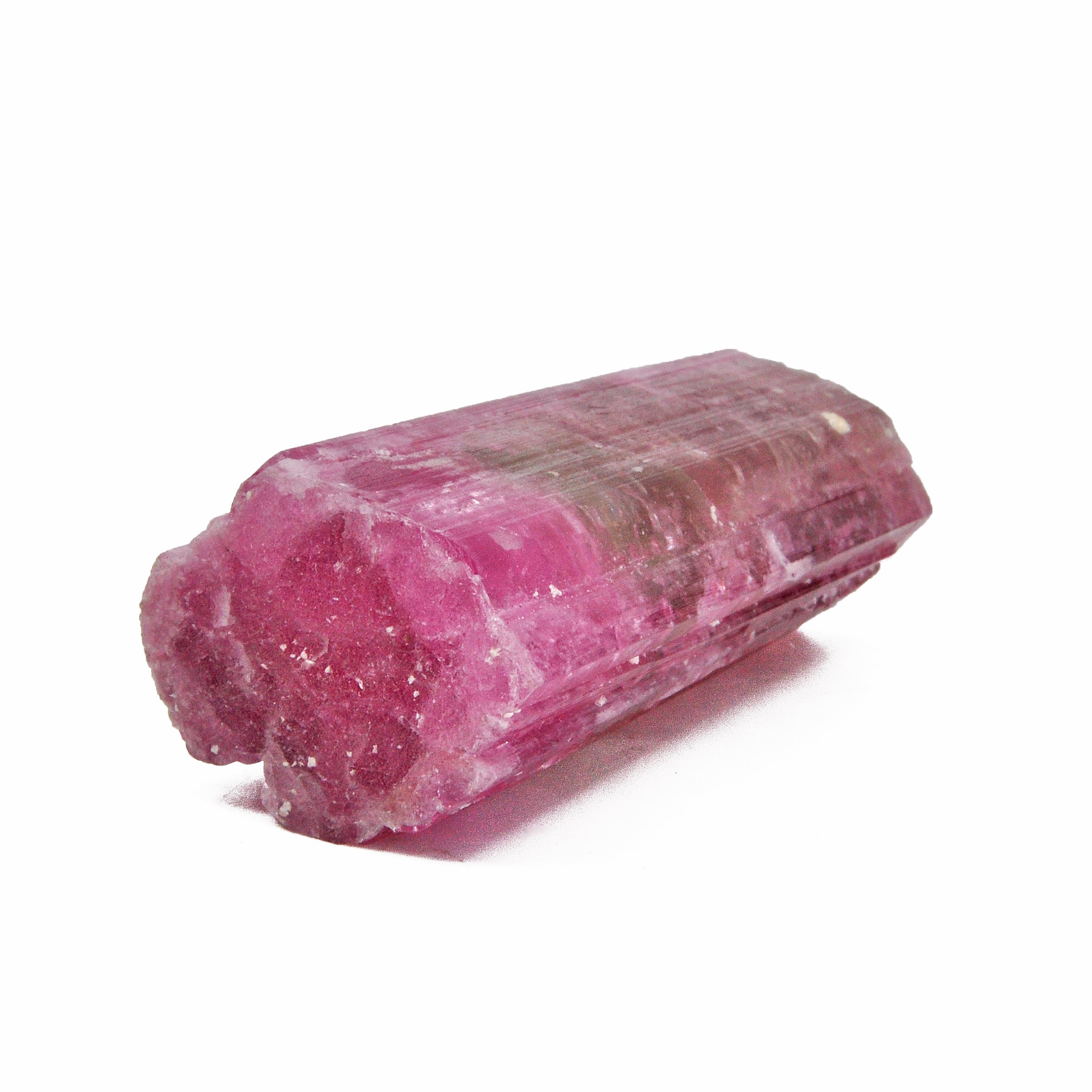 Pink and Green Watermelon Tourmaline 2.51 inch 87.1 grams Natural Gem Crystal - Brazil - PX-174 - Crystalarium