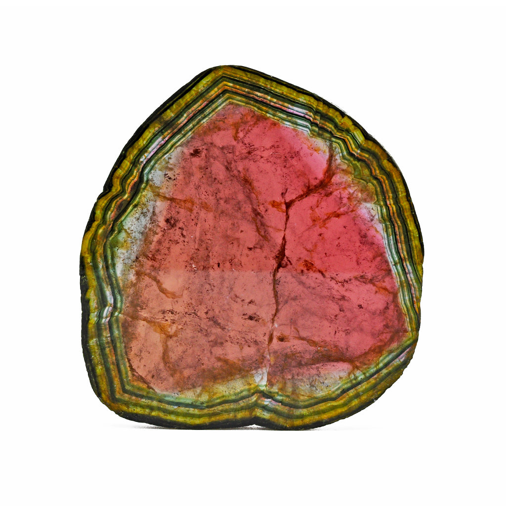 Watermelon Liddicoatite Tourmaline 2.53 inch 37.4 grams Natural Gem Crystal Slice - Madagascar - BBV-031 - Crystalarium
