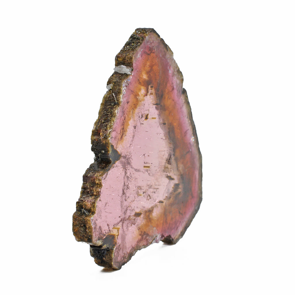 Liddicoatite Watermelon Tourmaline 2.50 inch 38.9 grams Natural Crystal Gemstone Slice - Brazil - FFX-154 - Crystalarium